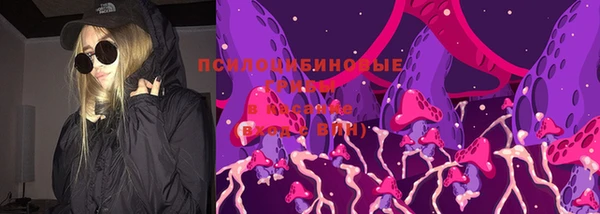 амф Михайловск