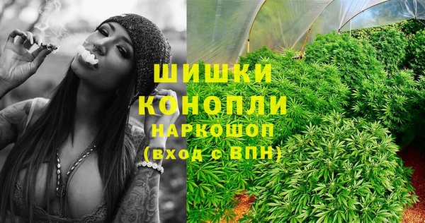амф Михайловск