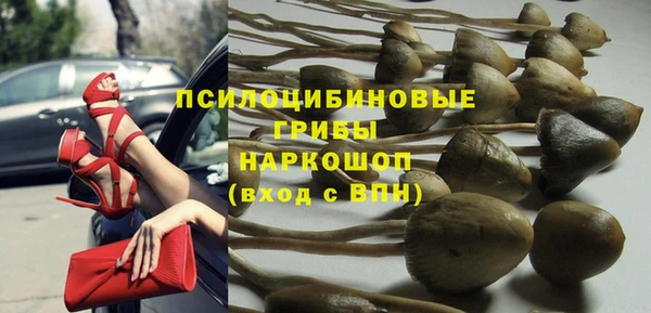 амф Михайловск