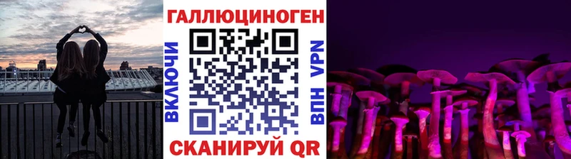 Купить Осинники Галлюциногенные грибы MAGIC MUSHROOMS